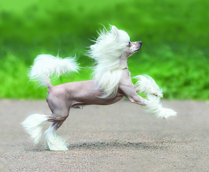 ThinkstockPhotos-588995014 edit