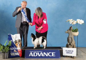 Breeder - Mrs Donna Maisey