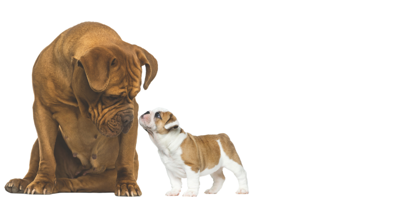 Banner left Icon -(600 x 200 px) (4).png