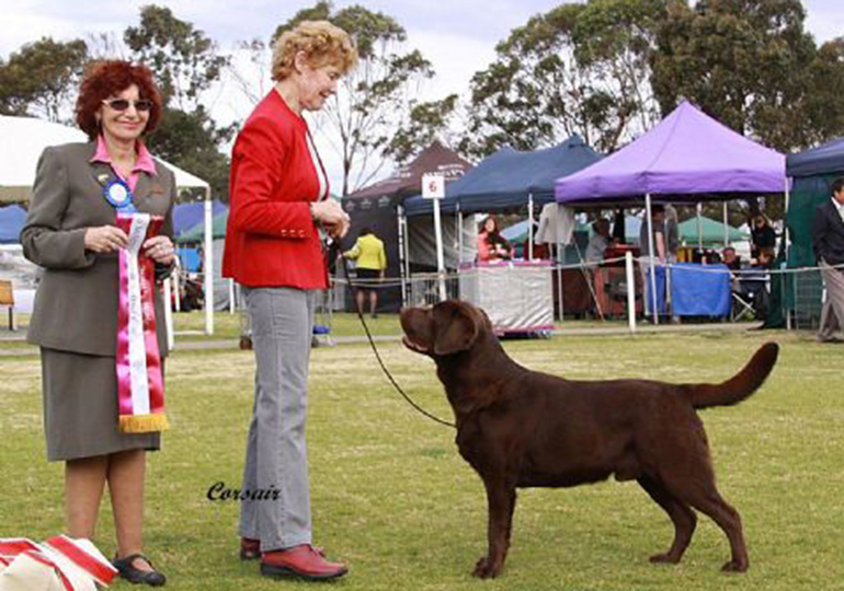 Breeder - Mrs Elizabeth Gent