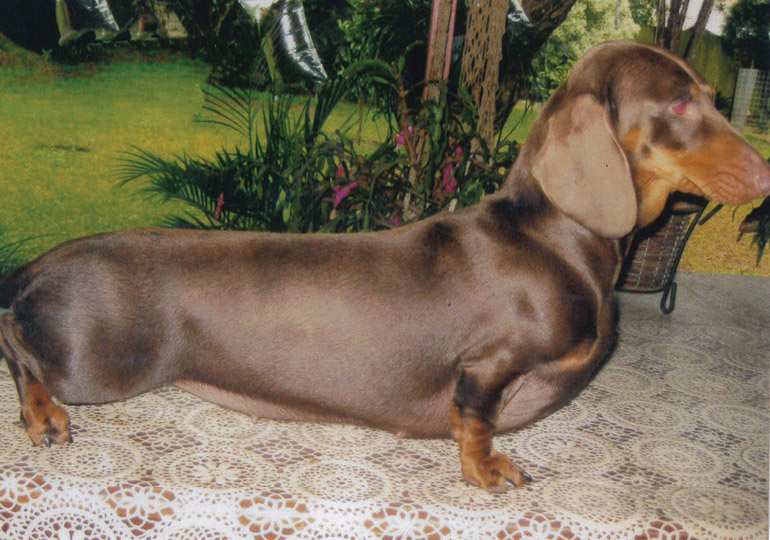 Breeder Gallery Large Image