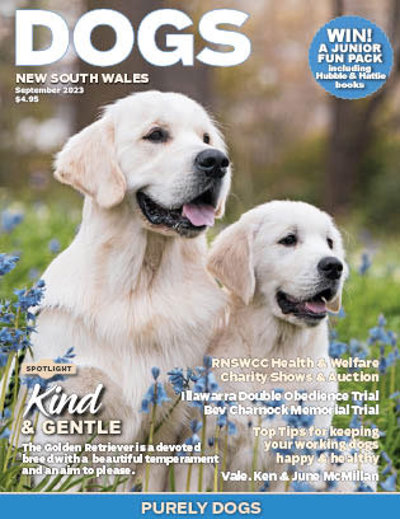september-2023-cover