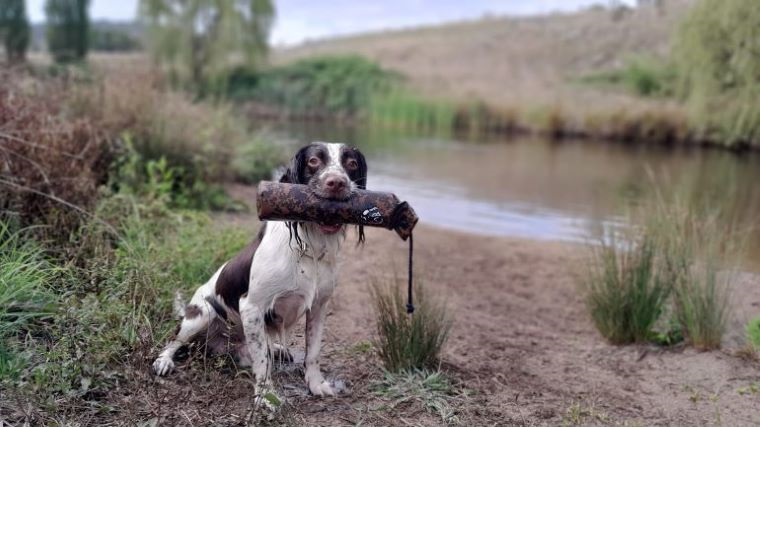 Breeder - Miss Michelle Stendara