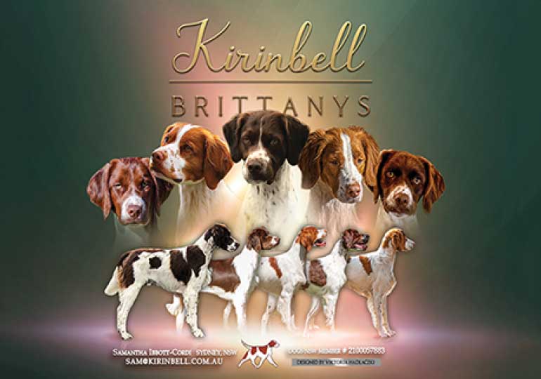 Breeder Gallery Large Image
