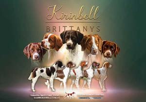 Breeder - Ms Samantha Ibbott-Cordi