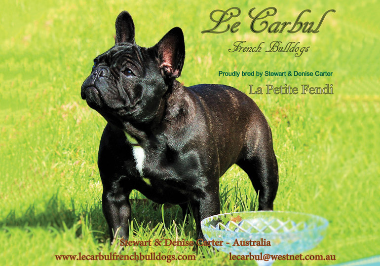 Breeders French Bulldog Club Of NSW Inc