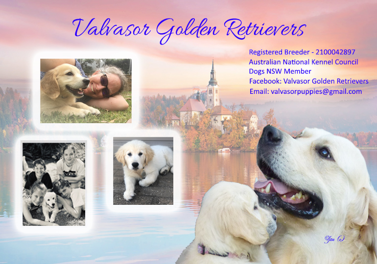 Breeders Goldkey