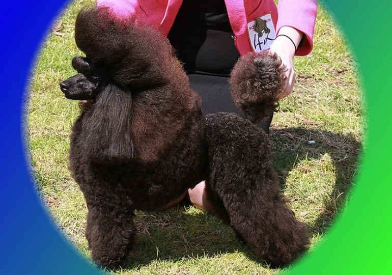 Breeder Gallery Large Image