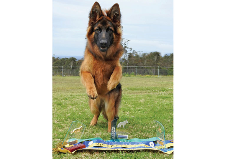 Breeder Gallery Large Image