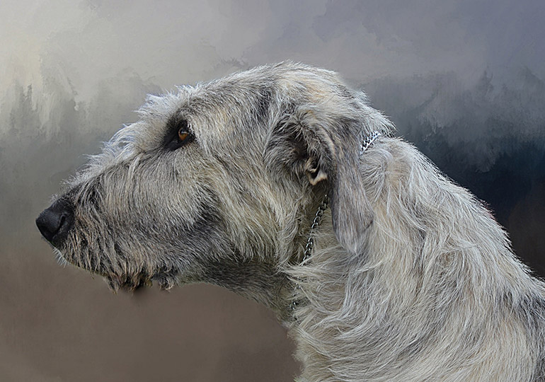Breeder Gallery Large Image