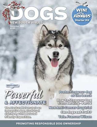 december-2021-cover