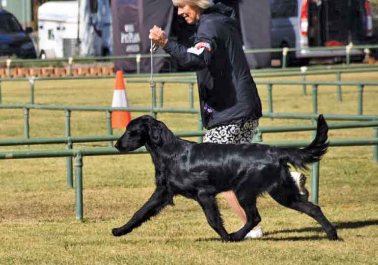 Breeder Gallery Large Image