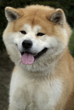 shutterstock_13369936