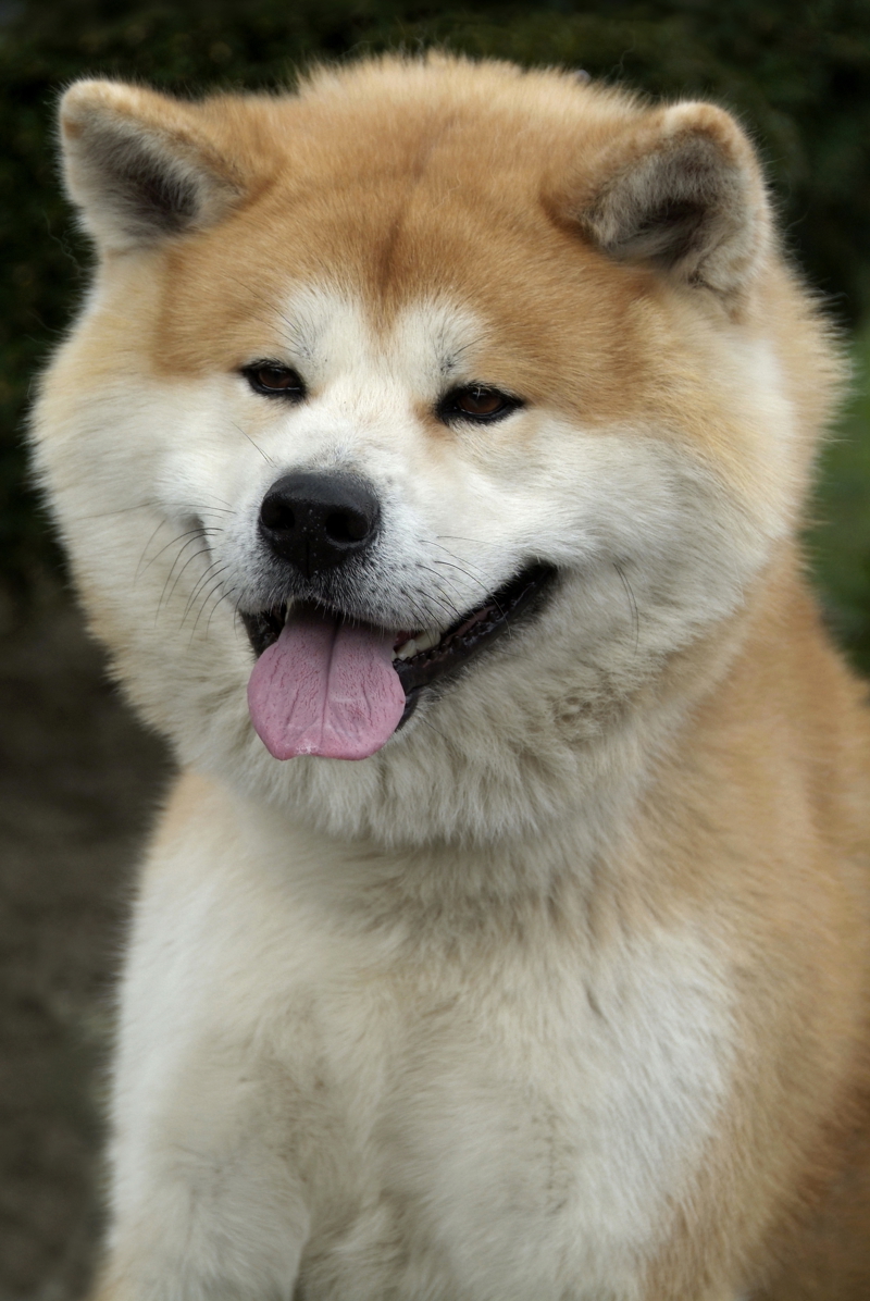 shutterstock_13369936