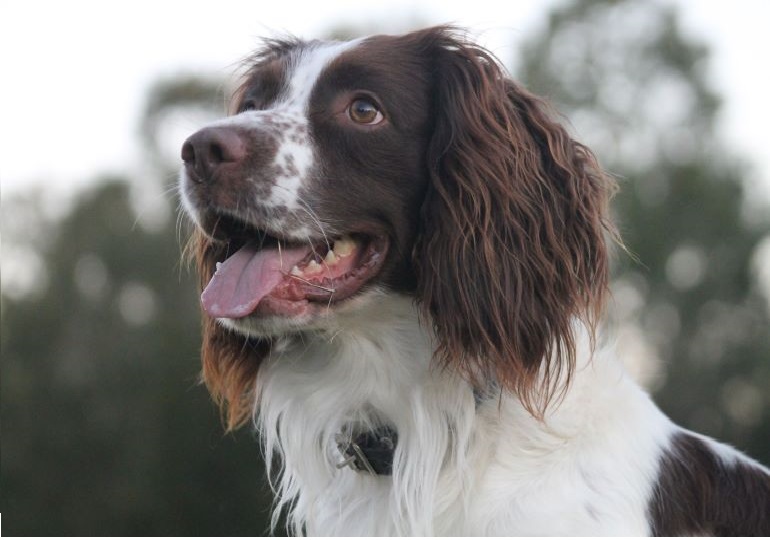 Breeder Gallery Large Image