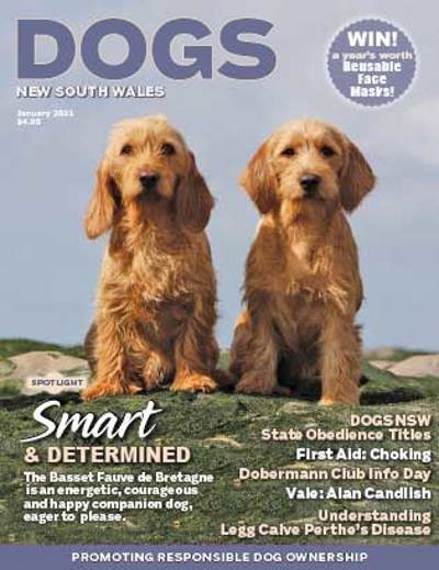 january-2021-cover