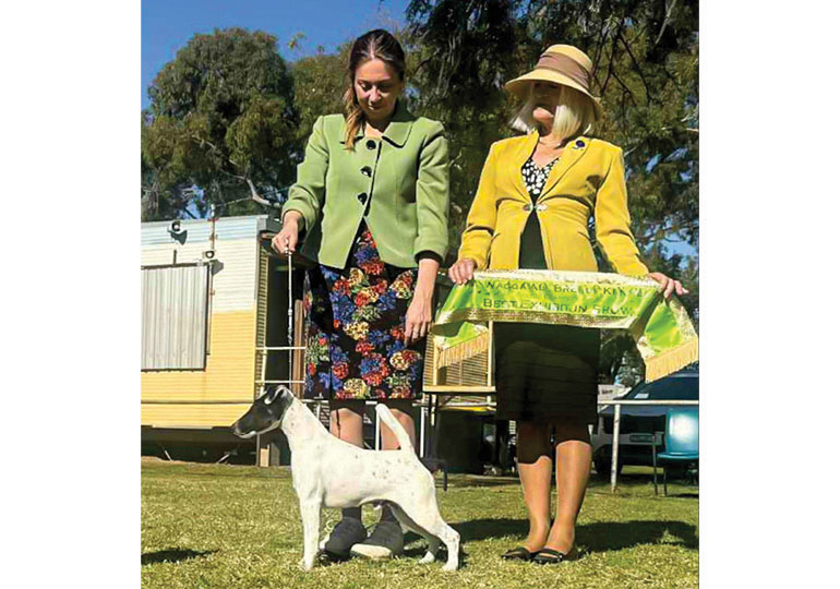 Breeder Gallery Large Image