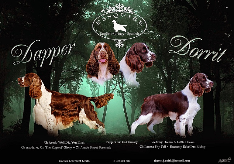 Breeder Gallery Large Image