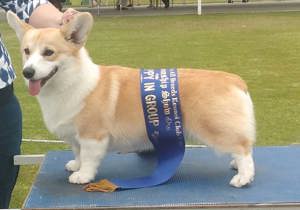 Breeder - Miss Christina Mobbs