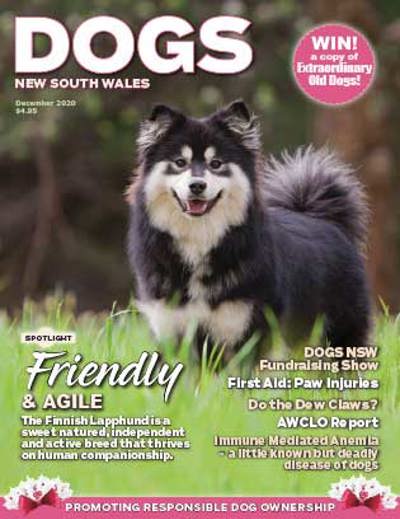 december-cover-2020