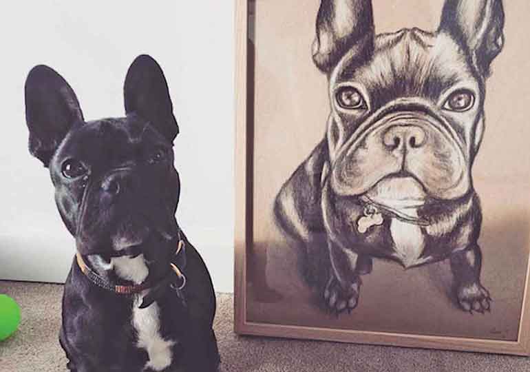 Breeder Gallery Large Image