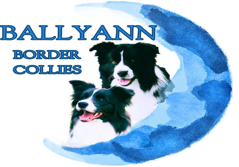 Breeder Gallery Large Image