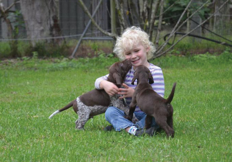 Breeder Gallery Large Image