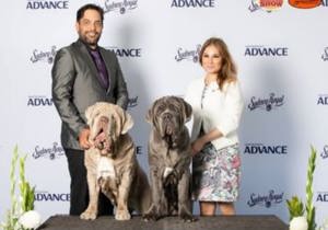 Breeder - Mrs Tahnee Reid
