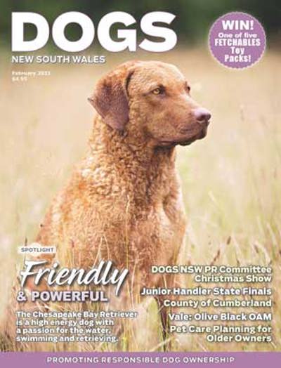 dogs-nsw-february-2021-cover