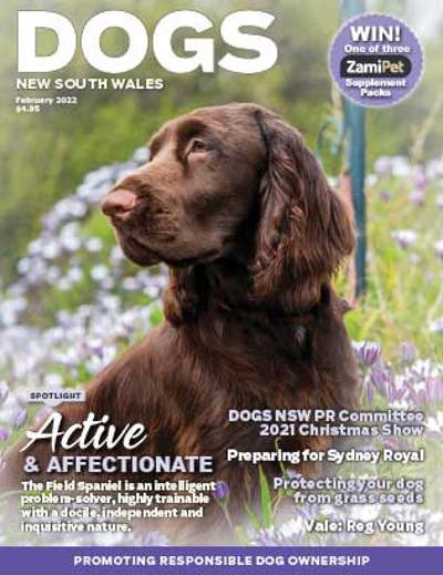february-2022-cover