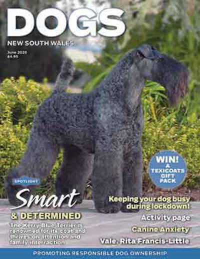 dogs-nsw-june-2020