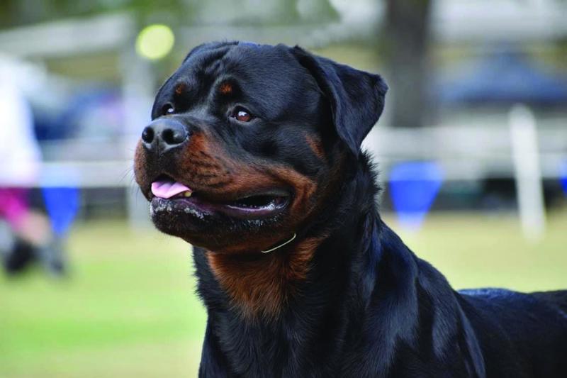 1. Submitted by Brad Peaker. Kimberley Deasi Photography