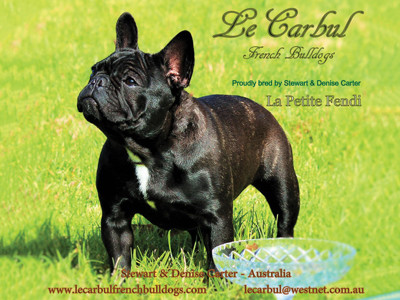 LECARBUL