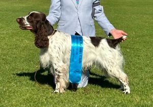 Breeder - Ms K Purkis