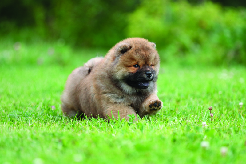 shutterstock_2200459099