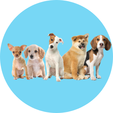Banner left Icon - 600x600 (6).png