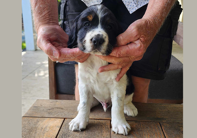 Breeder Gallery Large Image