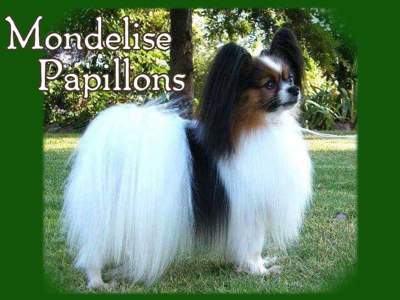 MONDELISE