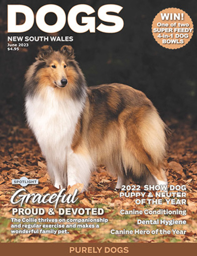 june-2023-cover