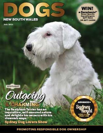 july-2021-cover