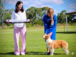 Breeder - Mrs Olga Chumakova