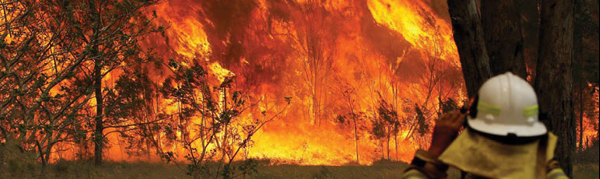 Emergency Survival Plan + DOGS NSW Donation Relief