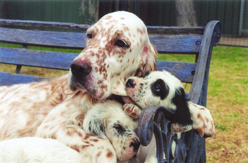 Submitted by Sue Andrews