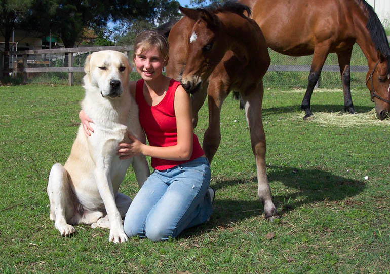 Breeder Gallery Large Image