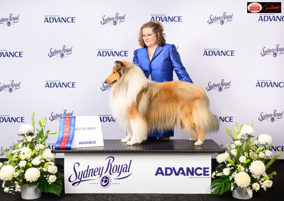 Breeder - Ms Belinda Hales