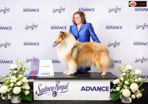 Breeder - Ms Belinda Hales