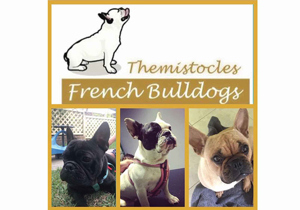 Breeder - Ms Eva Georgiou