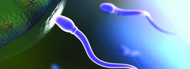 canine-semen1.jpg