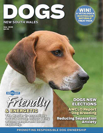 july-cover-2020