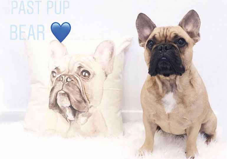 Breeder Gallery Large Image